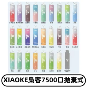 梟客XIAOKE|7500口可發光拋棄式電子煙 跑馬燈一次性